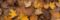 maple, fall, mood-8397536.jpg